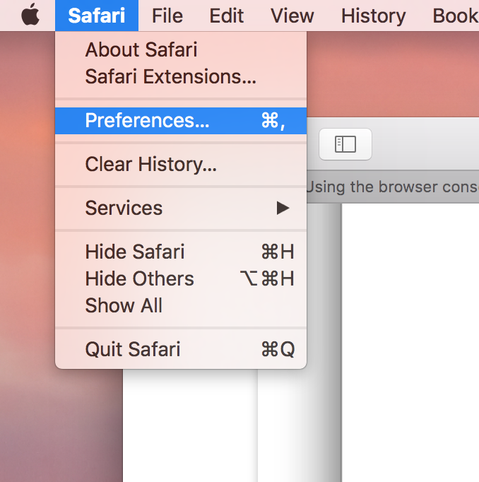 ../_images/console-safari1.png